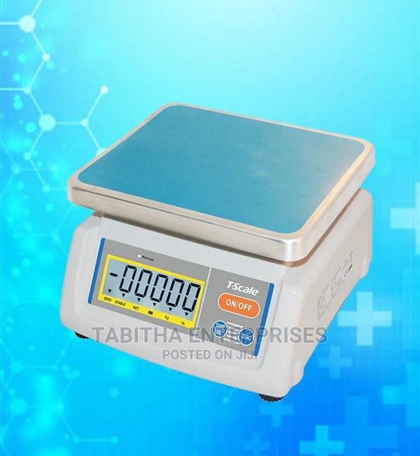 Electrical T-Scale - main view