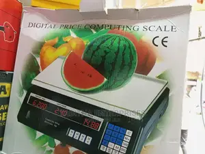 Digital Computer Price Scale