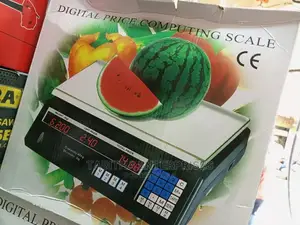 Electronic Digital Scale