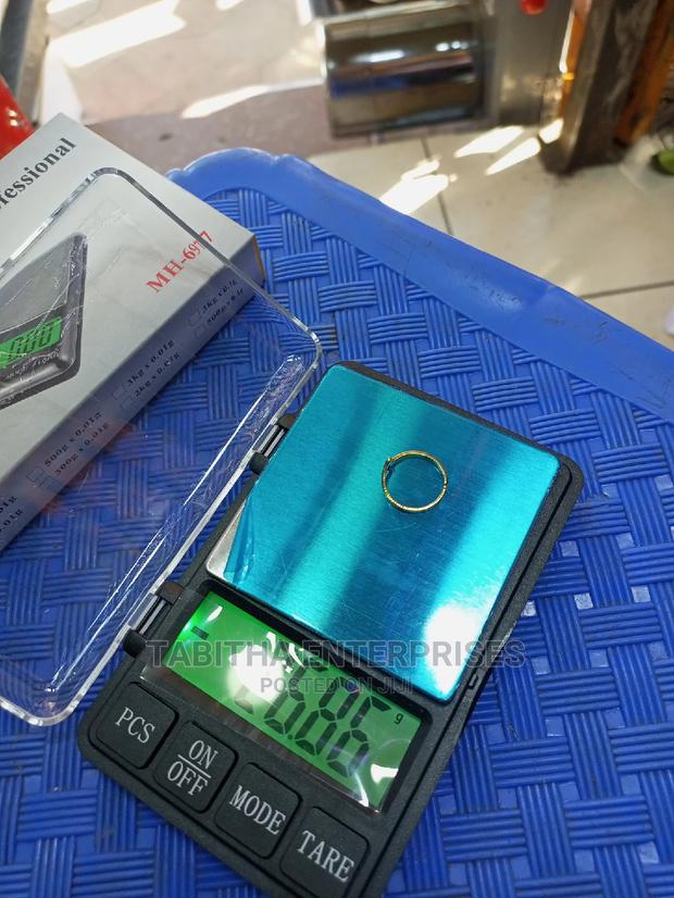 Portable Scale - main view