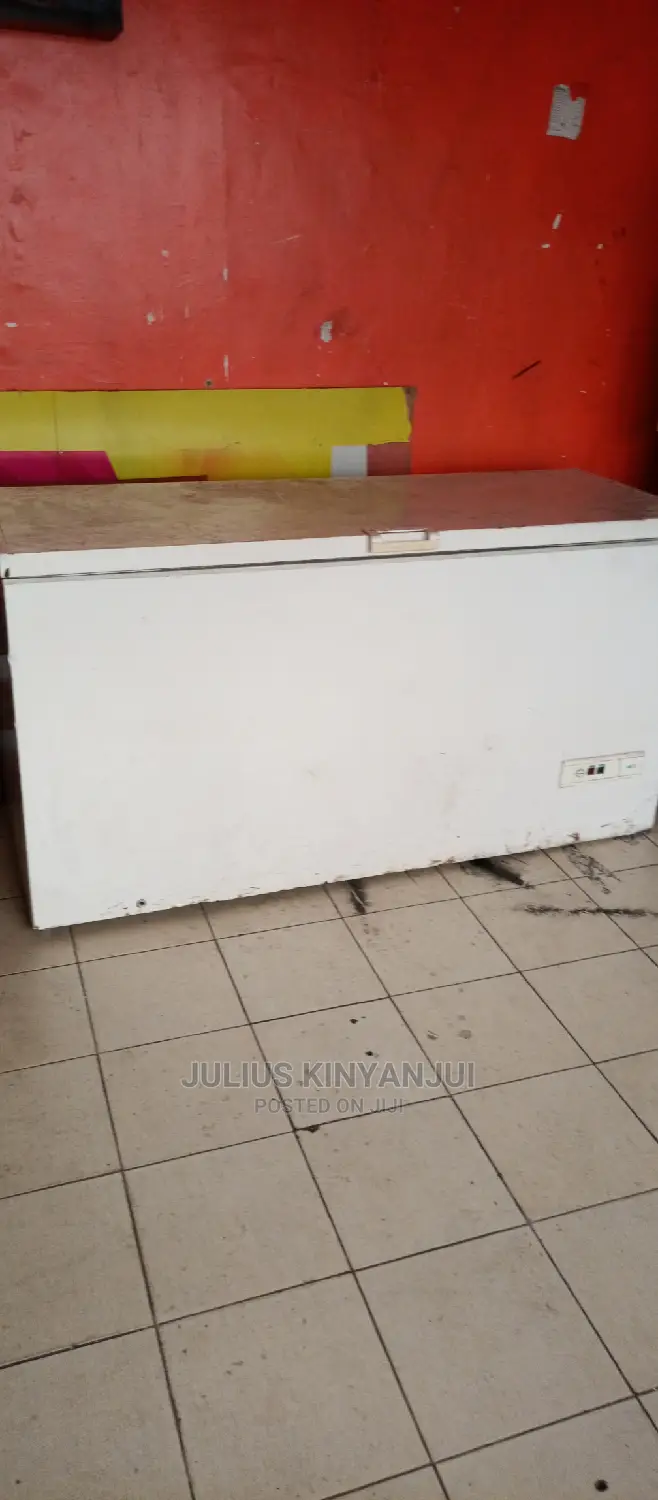 Deep Freezer 600L