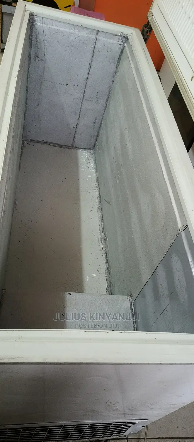 Big Freezer 600L