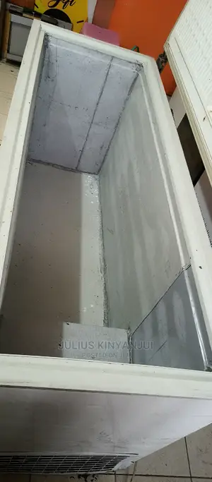 Big Freezer 600L