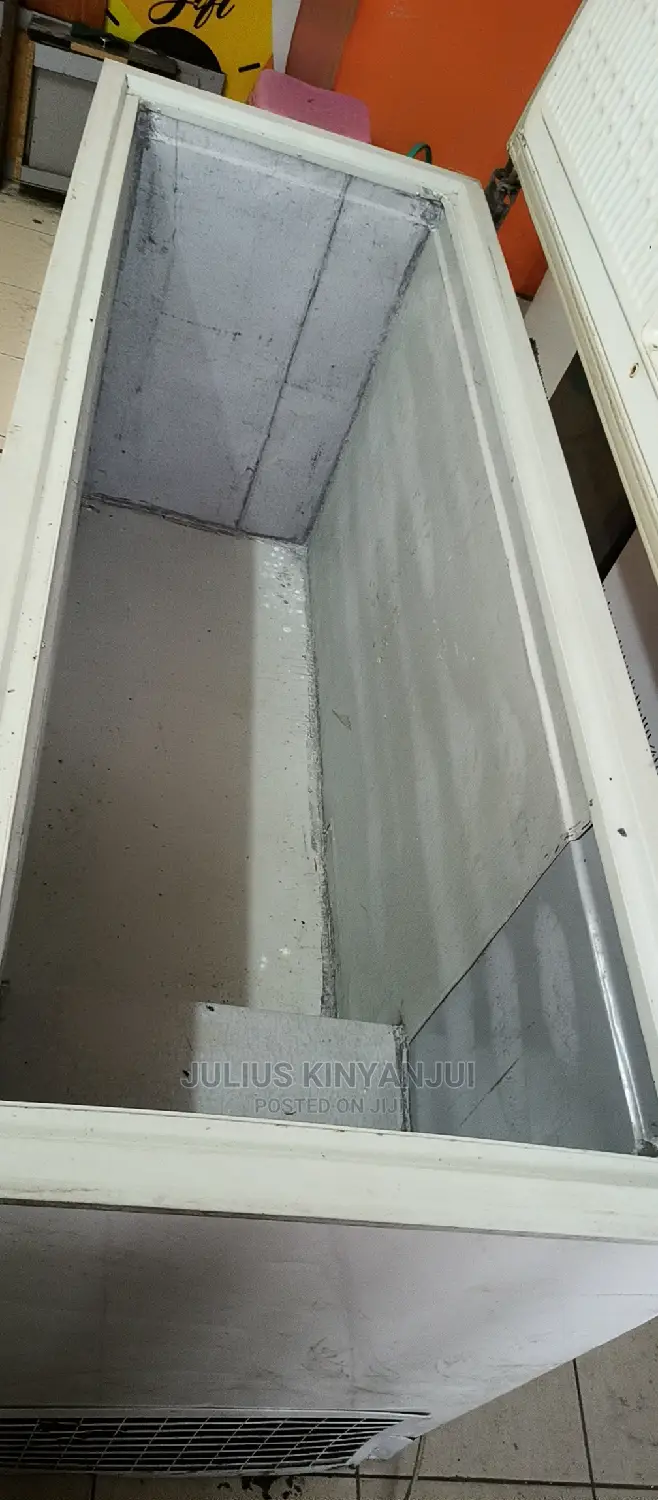 Big Freezer 600L