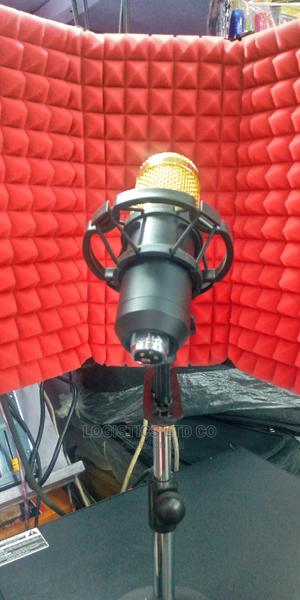 Studio Microphone - main view
