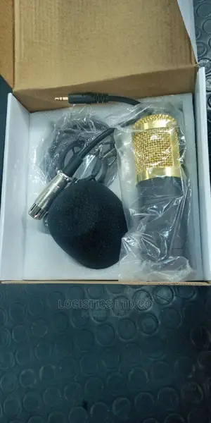 Studio Microphone