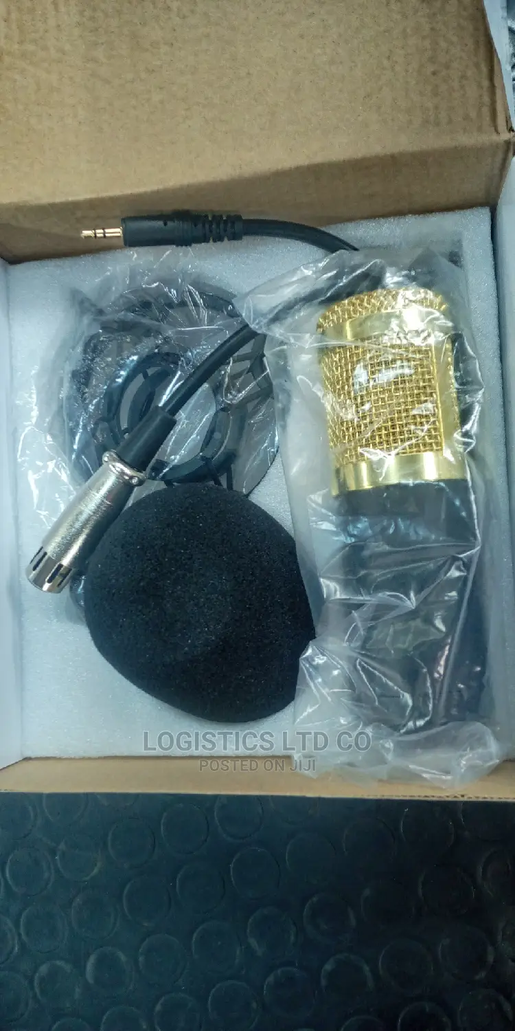 Studio Microphone