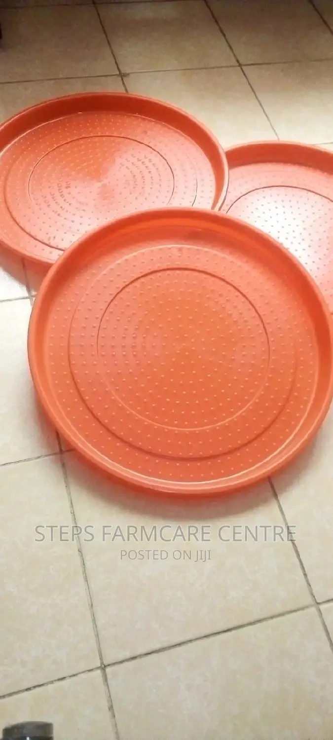 50cm Diameter Chick Feeding Trays for 100 Chicks .