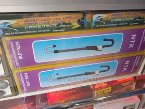 Steering Lock