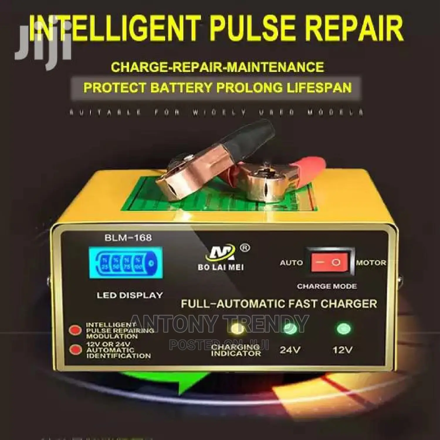 Car Battery Chargers