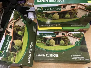 Brin De Nature Lawn Grass Gazon Rustique