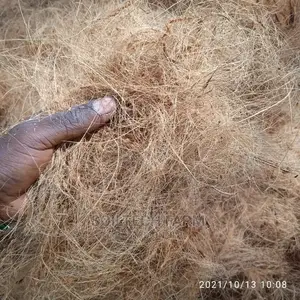 Coconut Fibre