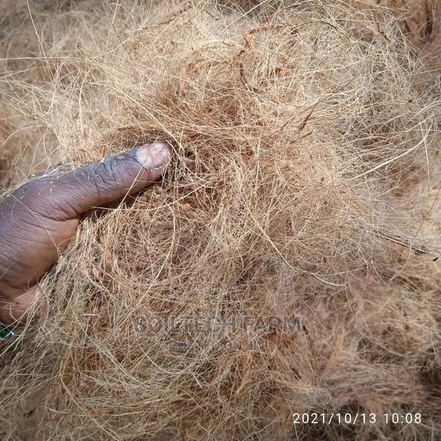 Coconut Fibre - thumbnail 2
