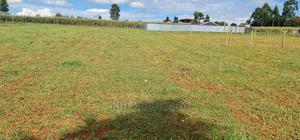 1⁄4 Plot for Sale in Illula Eldoret - thumbnail 2