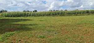 1⁄4 Plot for Sale in Illula Eldoret