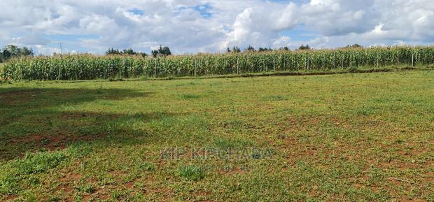 1⁄4 Plot for Sale in Illula Eldoret - thumbnail 3