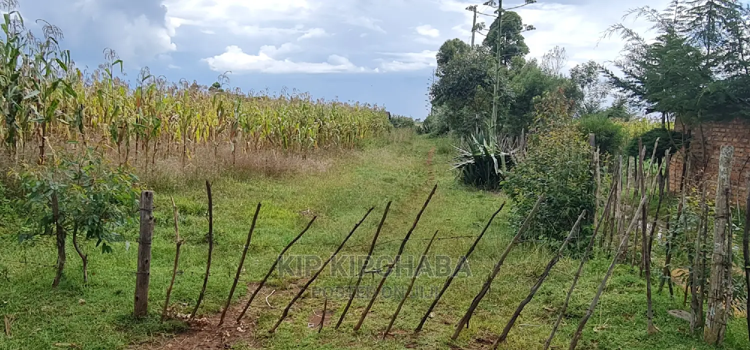 1⁄4 Plot for Sale in Illula Eldoret