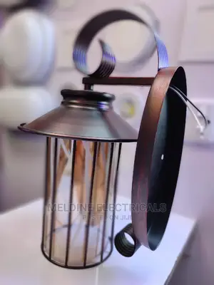 Hanging Wall Light