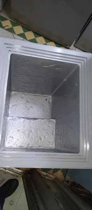 Mini Freezer 100L