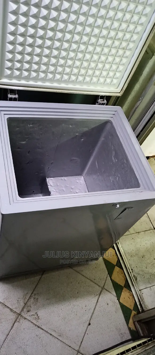 Mini Freezer 100L