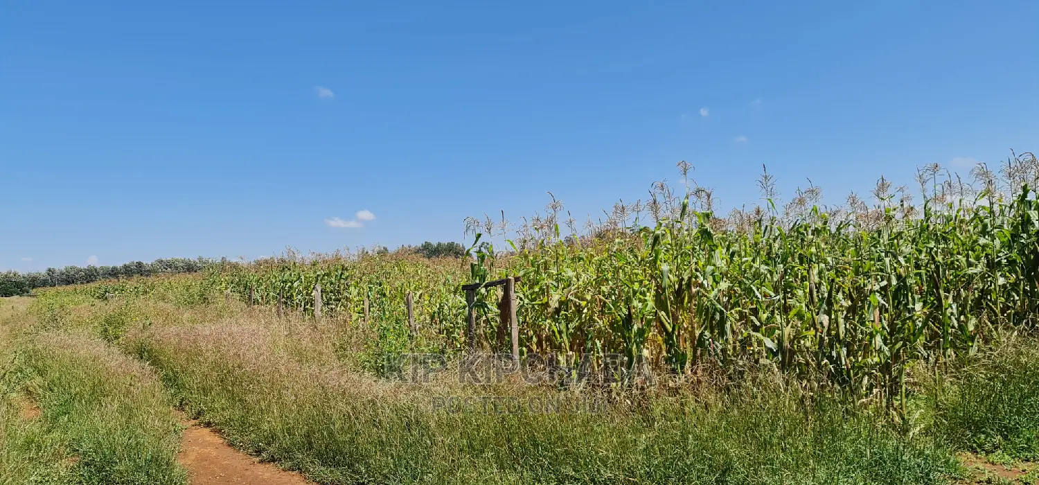 1 Acre Land Touching Highway Marura Kimumu in Eldoret