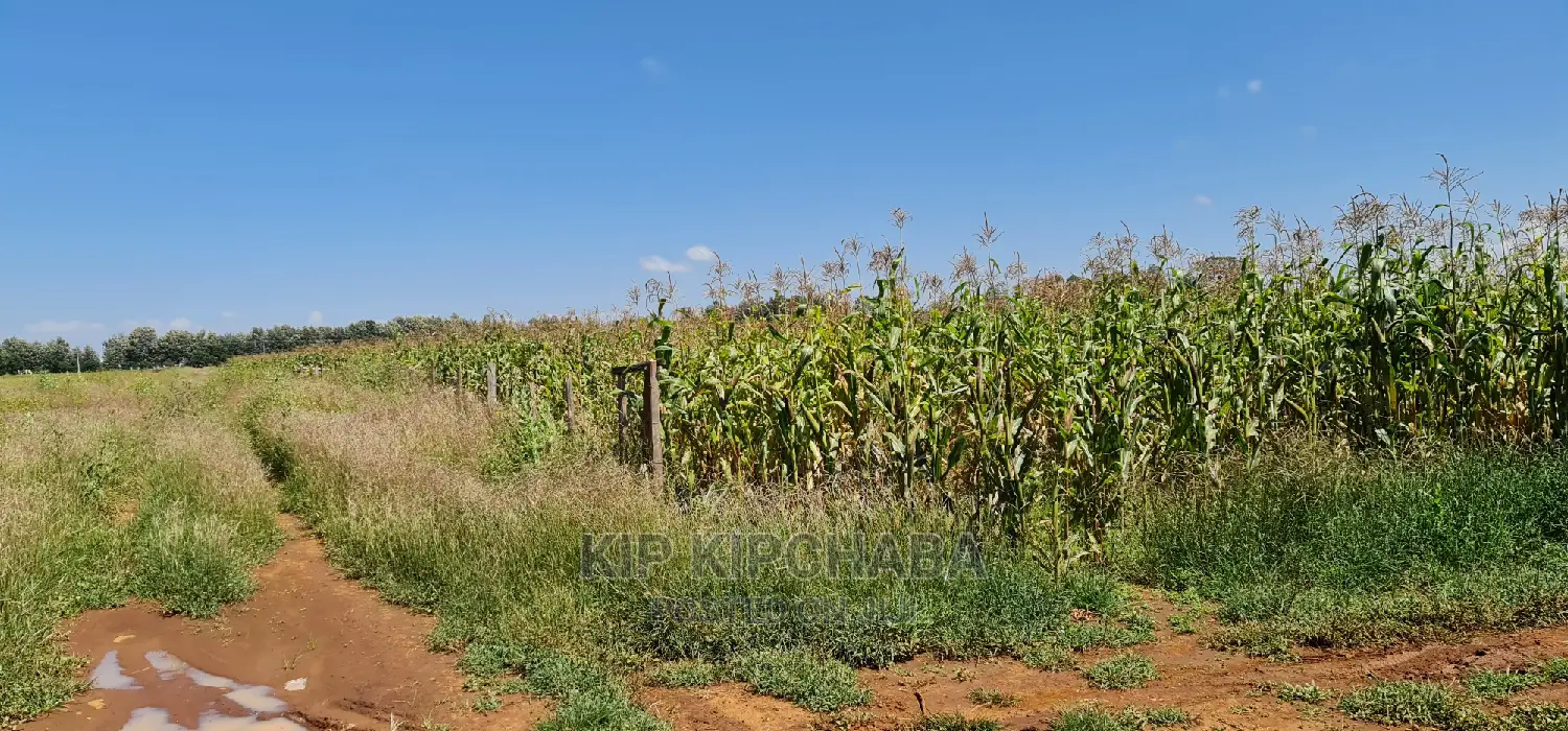 1 Acre Land Touching Highway Marura Kimumu in Eldoret