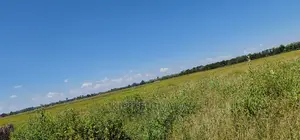 1 Acre Land Touching Highway Marura Kimumu in Eldoret