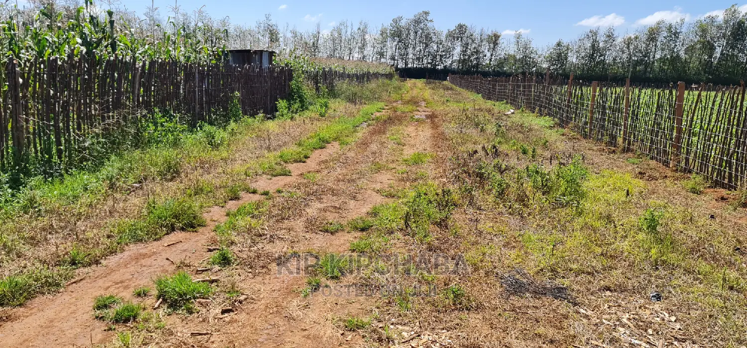 1 Acre Land Touching Highway Marura Kimumu in Eldoret