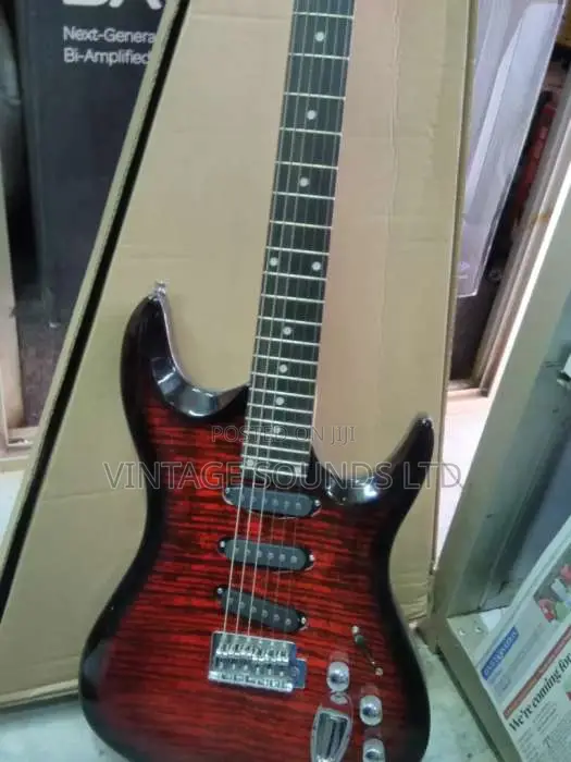 Roger Electric Guitar USA