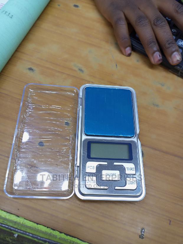 Proffesional Scale - main view