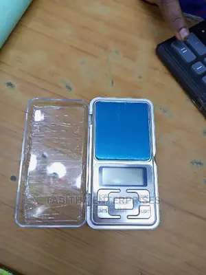 Proffessional Scale