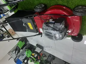 Briggs and Stratton Lawn Mower(New)
