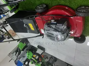 Briggs and Stratton Lawn Mower(New)