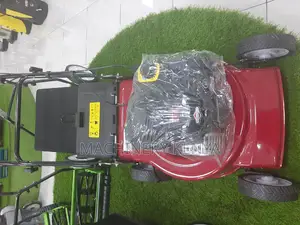 Brand New Briggs And Stratton (140cc )