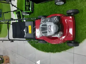 5.5hp Briggs and Straton Quality Lawn Mower(Self Propelled)