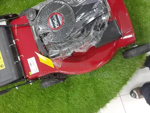 Commercial Lawn Mower(196cc)