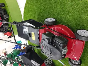 Self Propelled Engine Lawn Mower