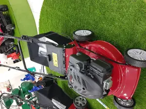 Self Propelled Engine Lawn Mower