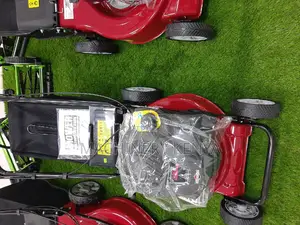 Grass Cutter/Lawn Mower in Kenya