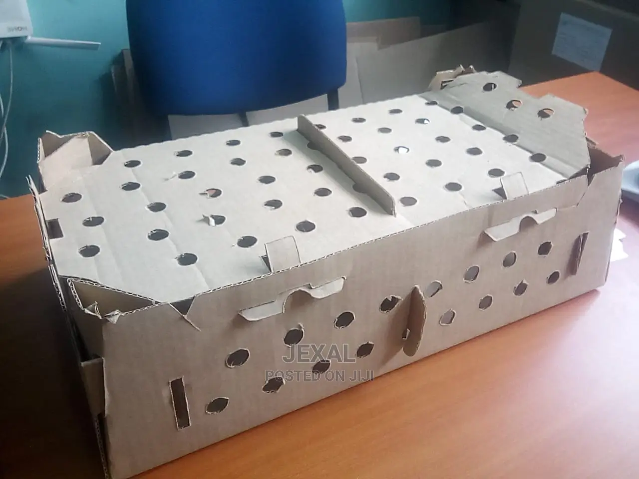 Chicks Carton Boxes