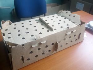 Chicks Carton Boxes - thumbnail 2