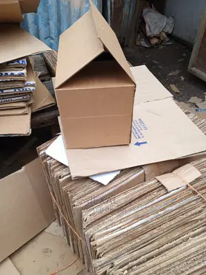 Chicks Carton Boxes
