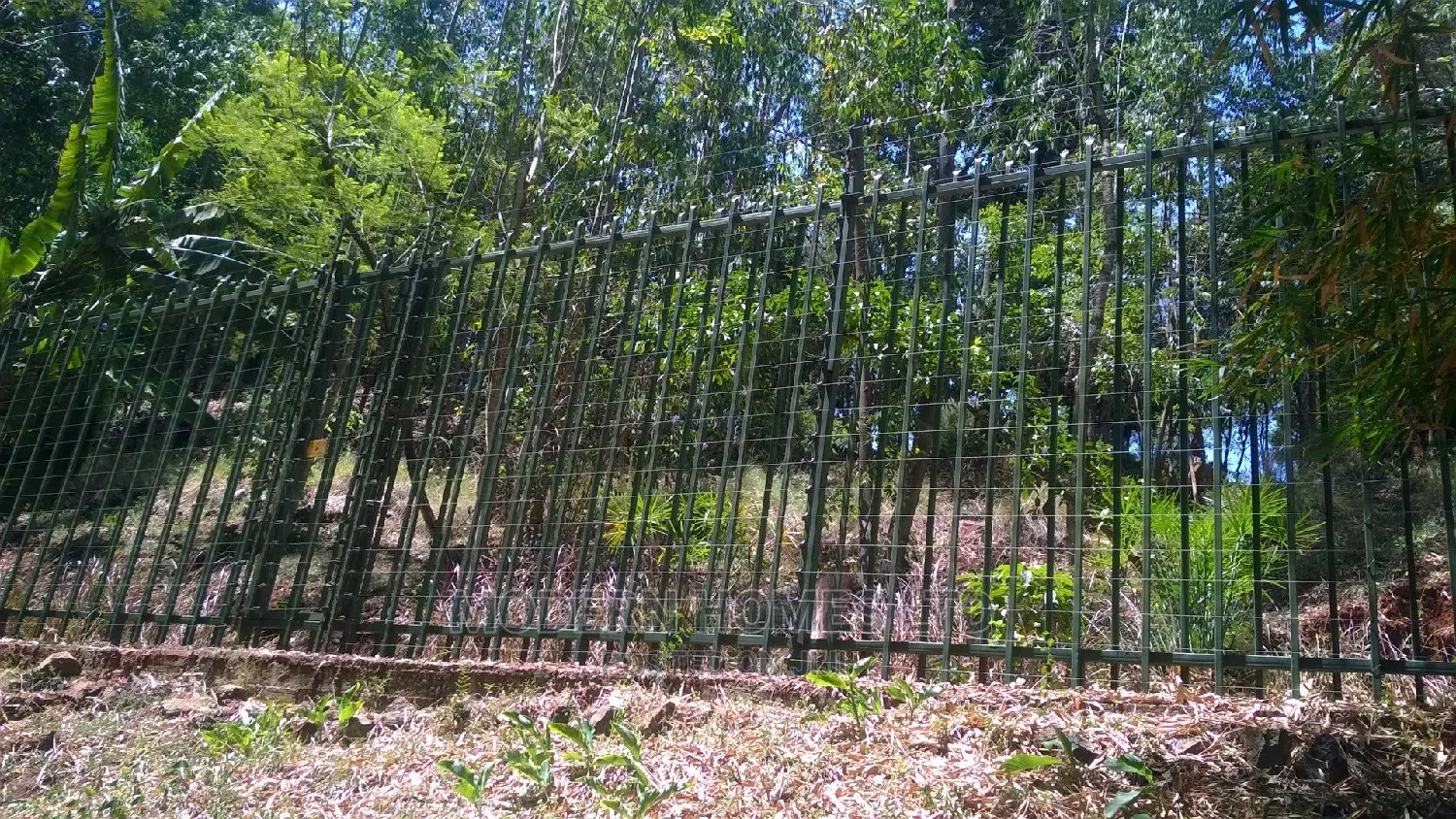 Modern Homes Palisade Fences