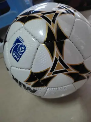 Mikasa Leather Ball No 5