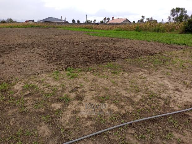 Plot for Sale in Lower Mawanga (50x100 and Quarters) - thumbnail 3
