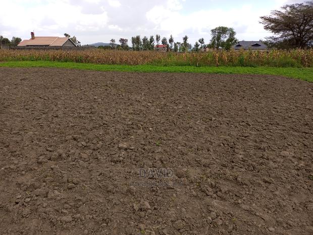 Plot for Sale in Lower Mawanga (50x100 and Quarters) - thumbnail 2