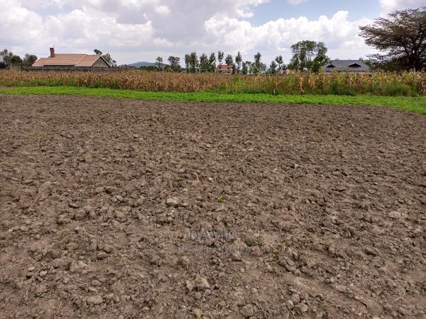 Plot for Sale in Lower Mawanga (50x100 and Quarters) - thumbnail 5
