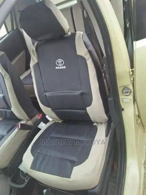Passo Car Seat Covers