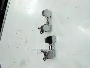 Acoustic Guitar Pegs