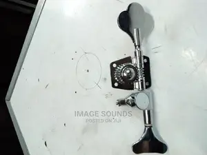 Bass Guitar Pegs